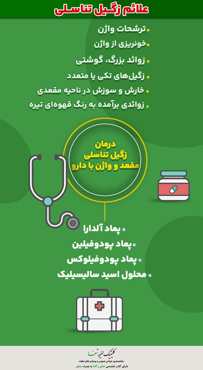 اینفوگرافیک زگیل تناسلی چیست؟