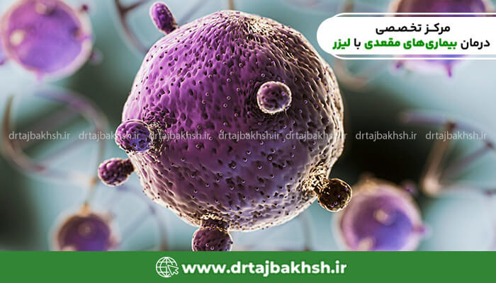 تصویر ویروس hpv