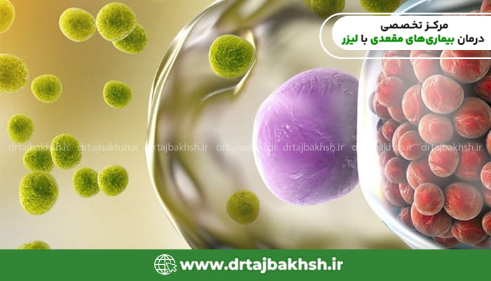 نمای میکروسکوپی از باکتری کلامیدیا تراکوماتیس عامل اصلی عفونتهای مقاربتی